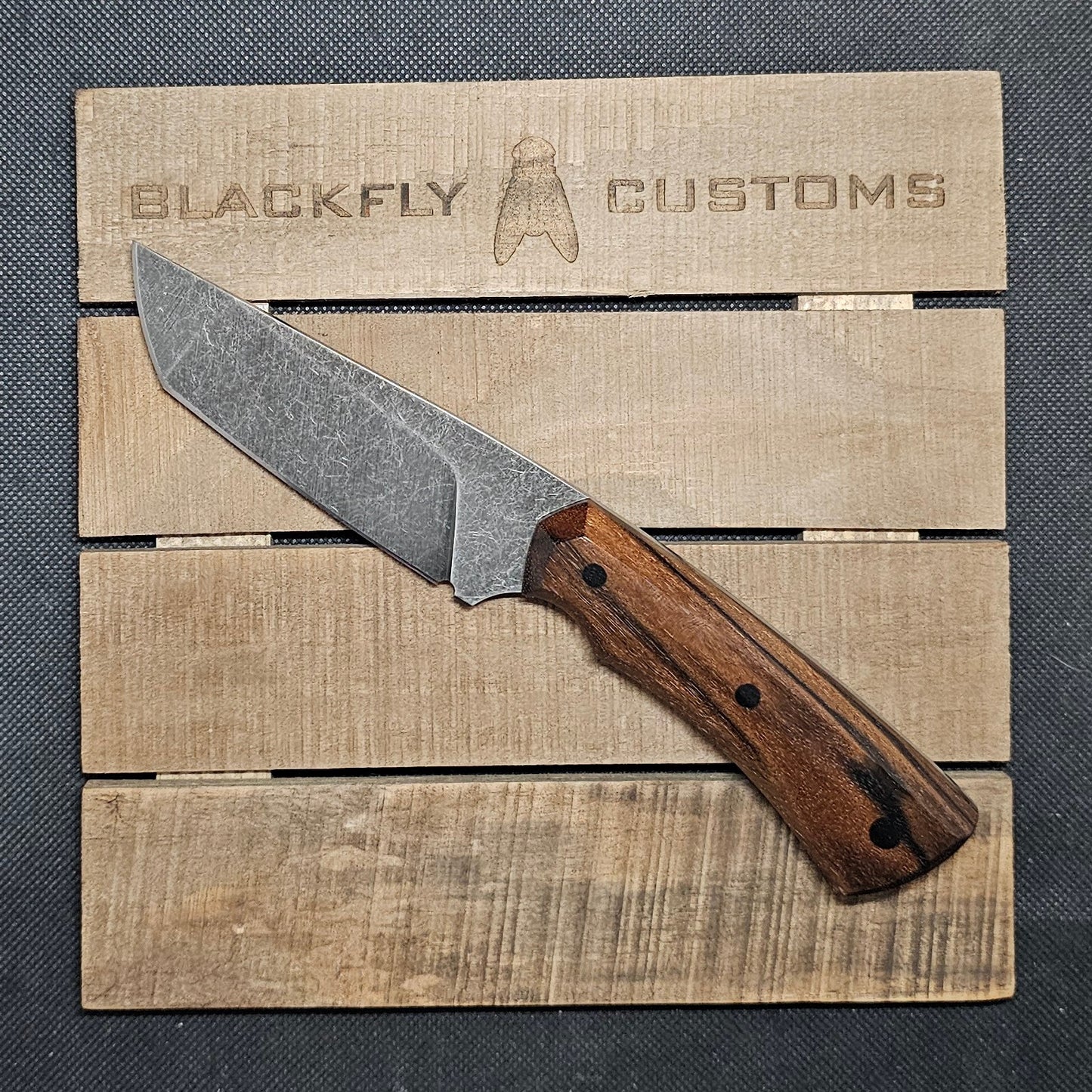 Gator with  Claro Walnut
