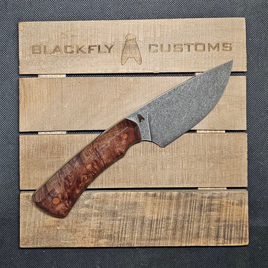 Rhino with Redwood Burl