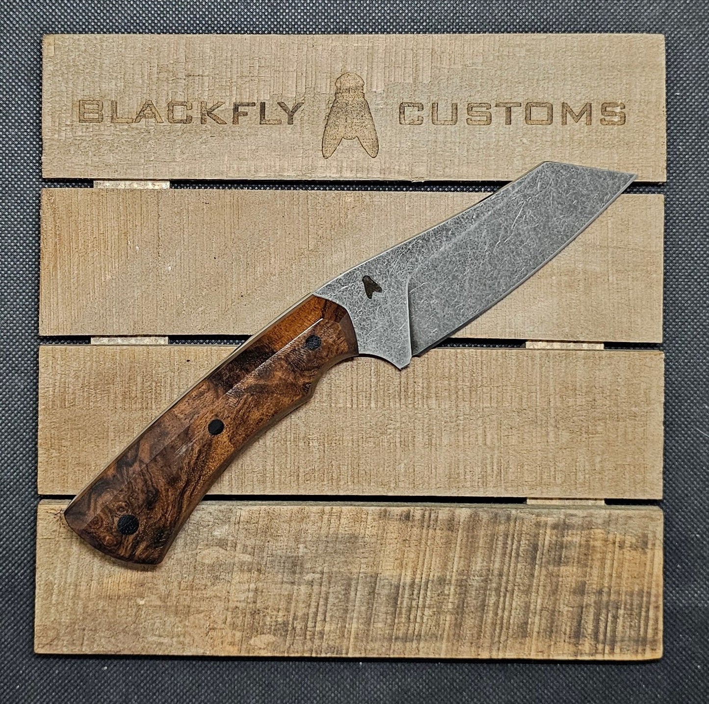 Hyena with Claro Walnut