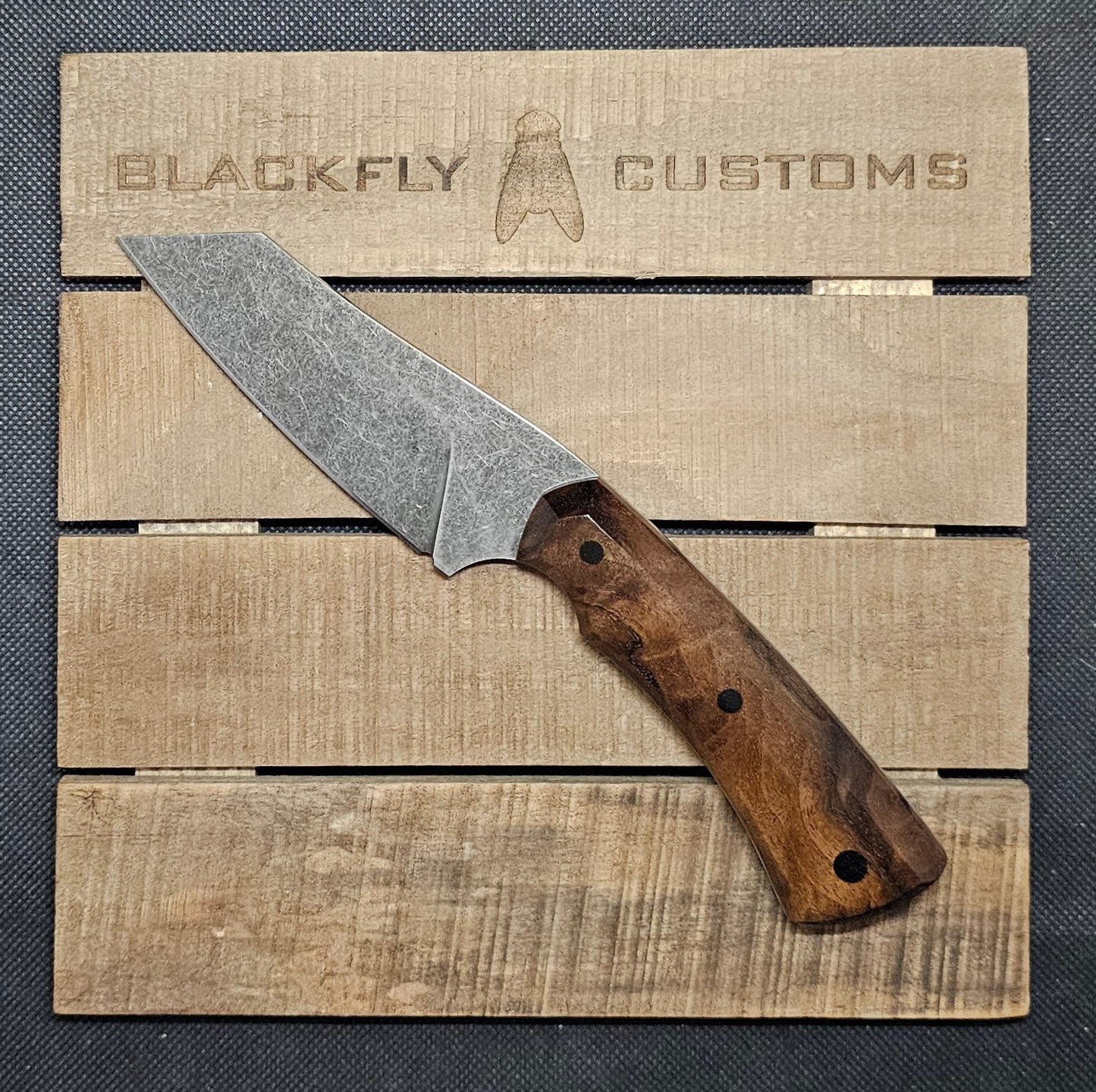 Hyena with Claro Walnut