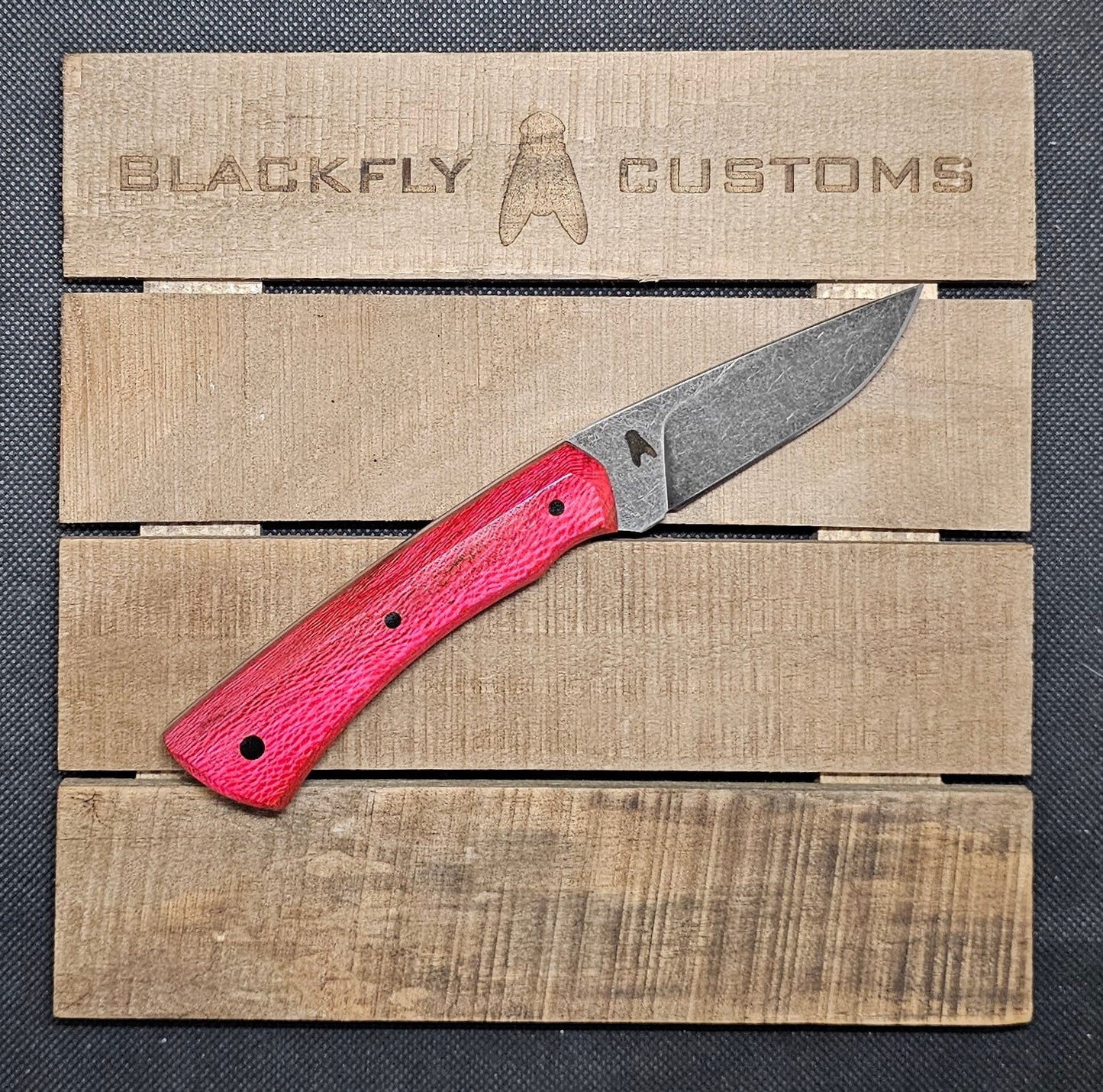 Jackal with Sycamore