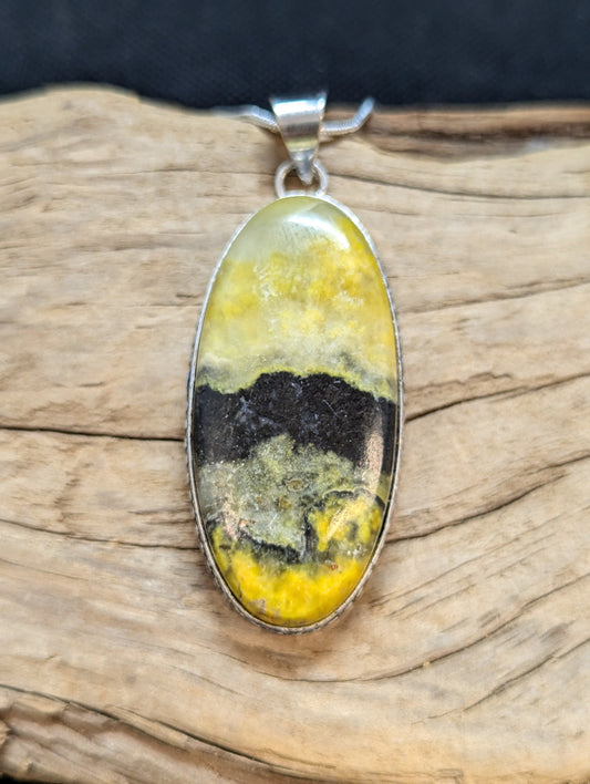 Bumble Bee Jasper