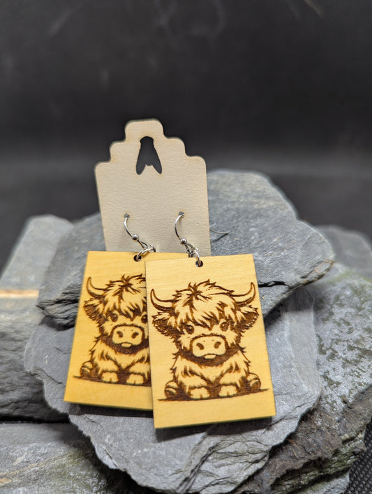 Highland Cow 1