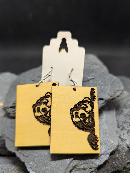 Funny Bear