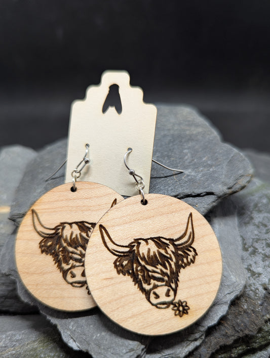 HIghland Cow 2