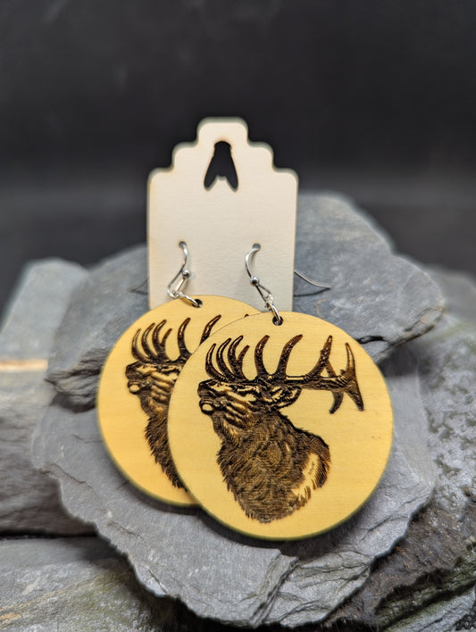 Elk 3