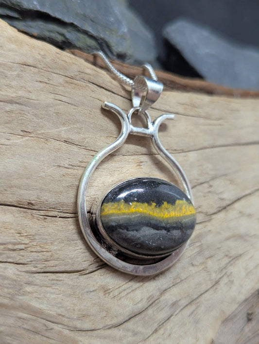 Bumble Bee Jasper