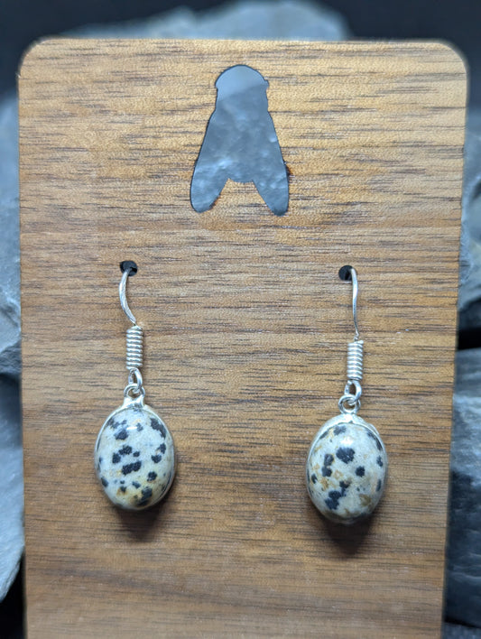Dalmatian Jasper Earrings