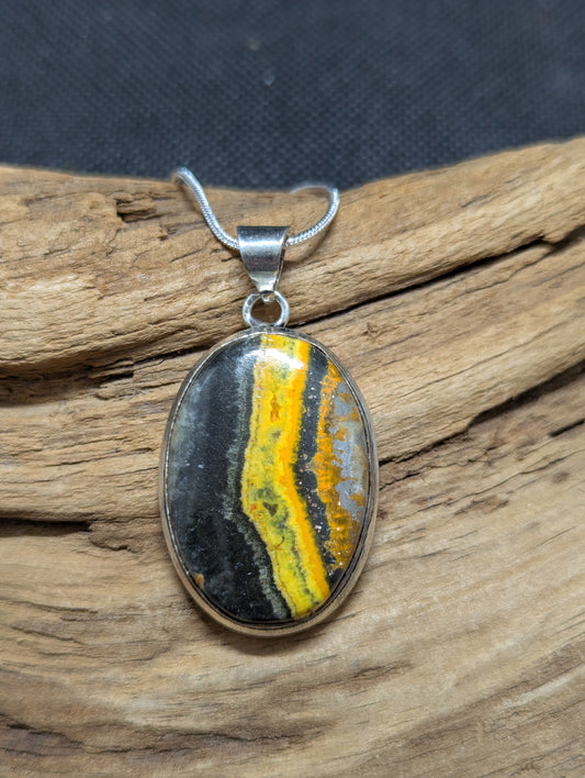 Bumblebee Jasper