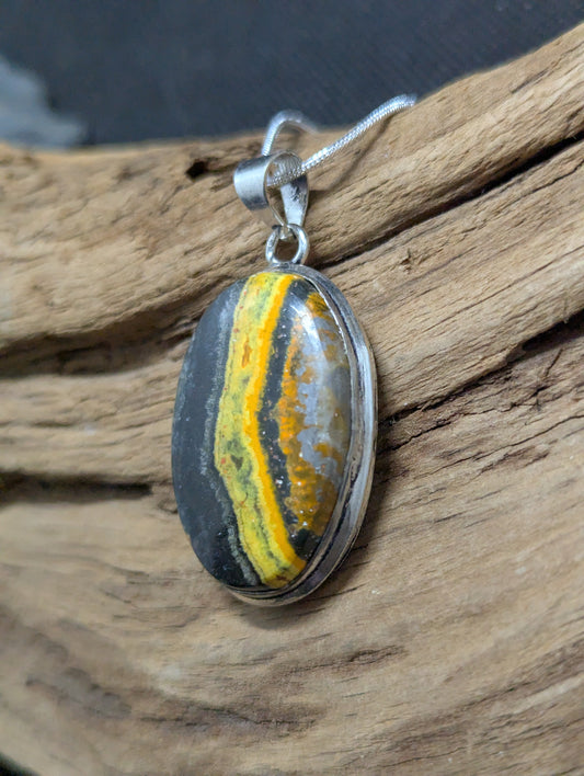 Bumblebee Jasper