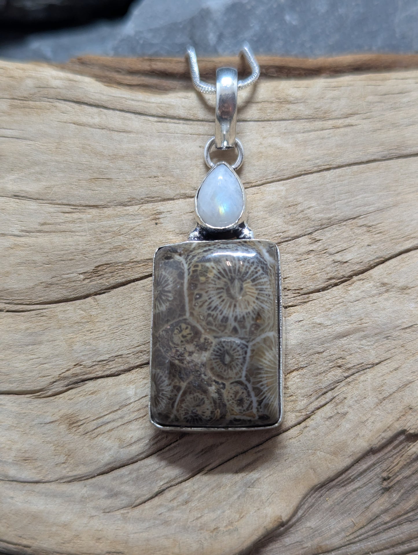 Coral Fossil & Rainbow Moonstone