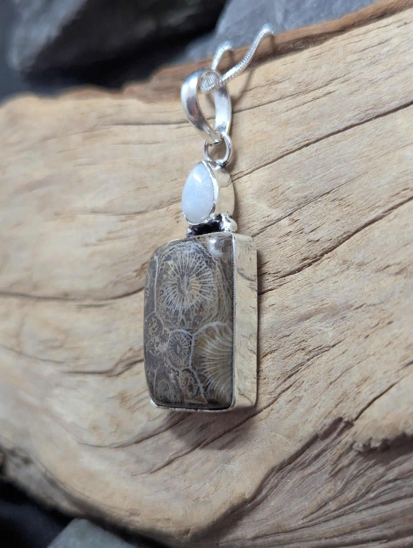 Coral Fossil & Rainbow Moonstone