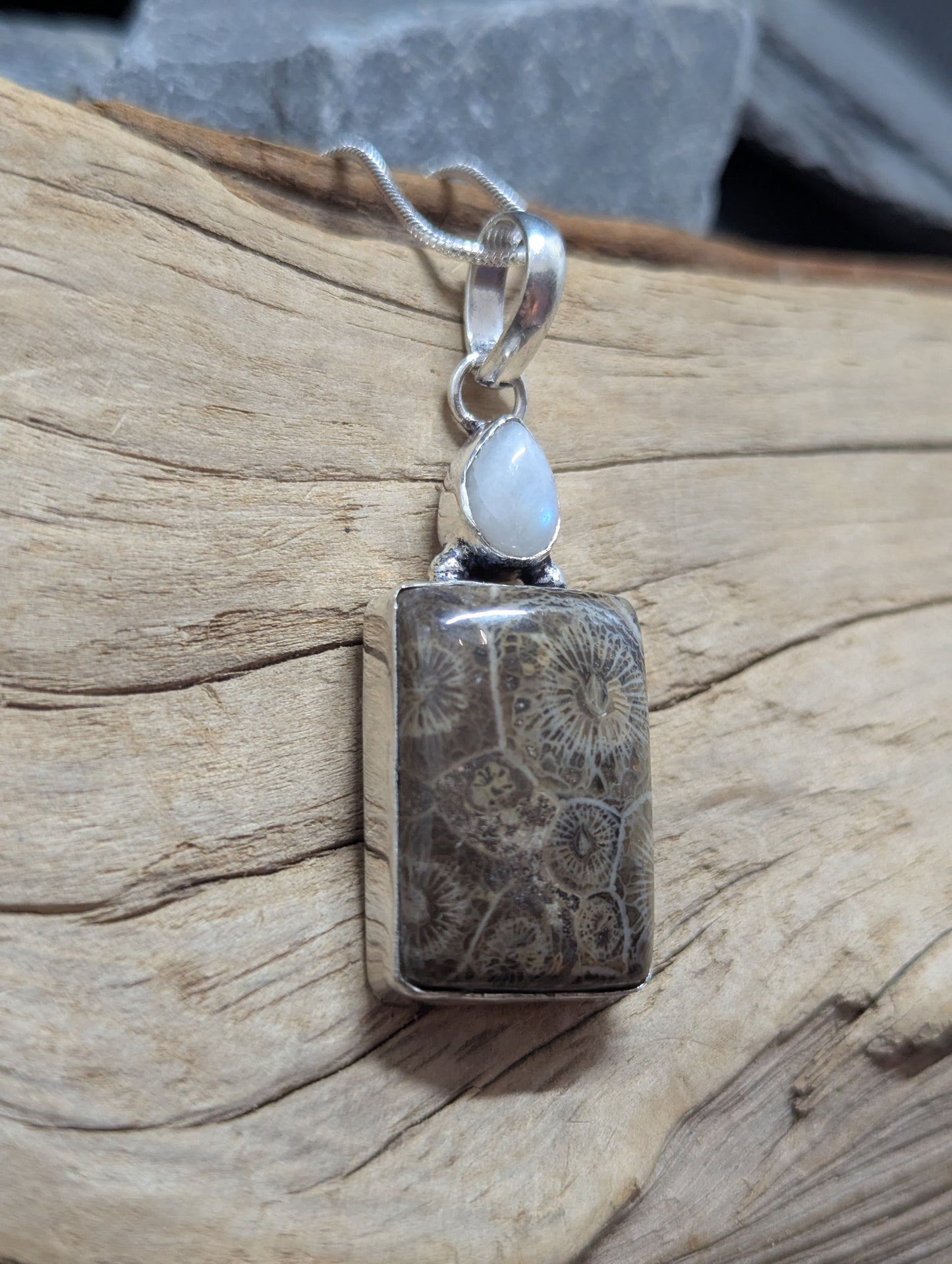 Coral Fossil & Rainbow Moonstone