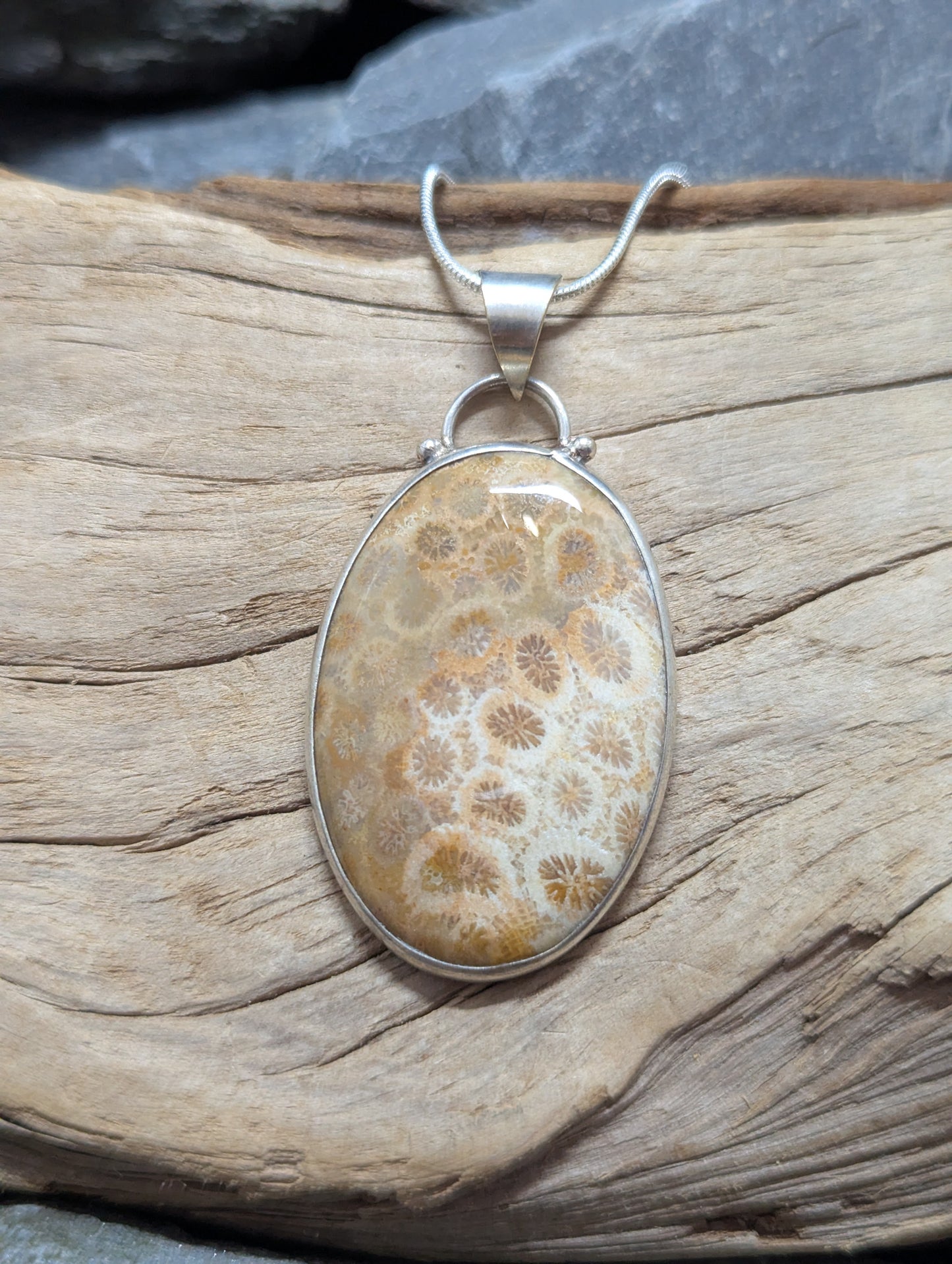 Coral Fossil