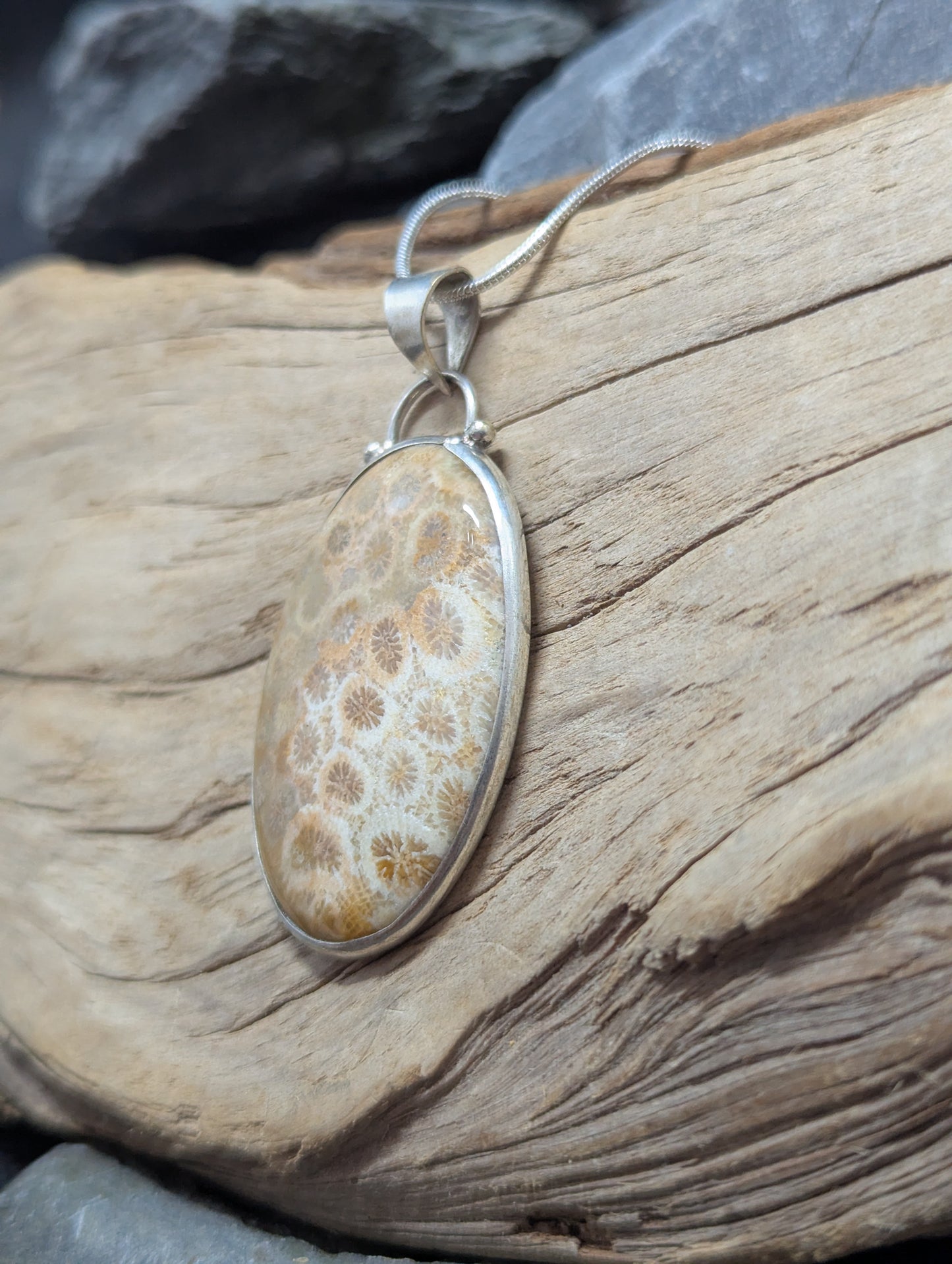 Coral Fossil