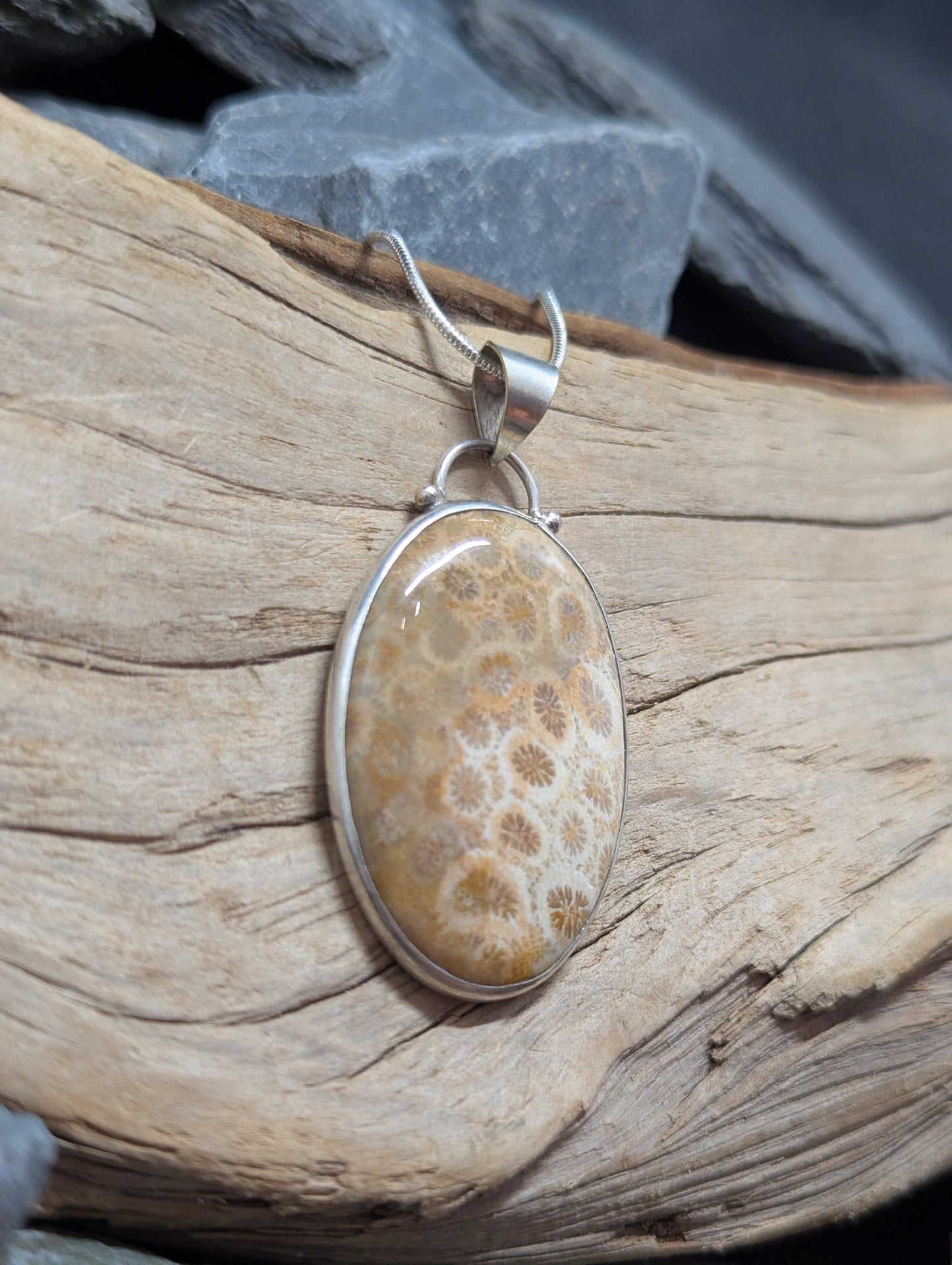 Coral Fossil