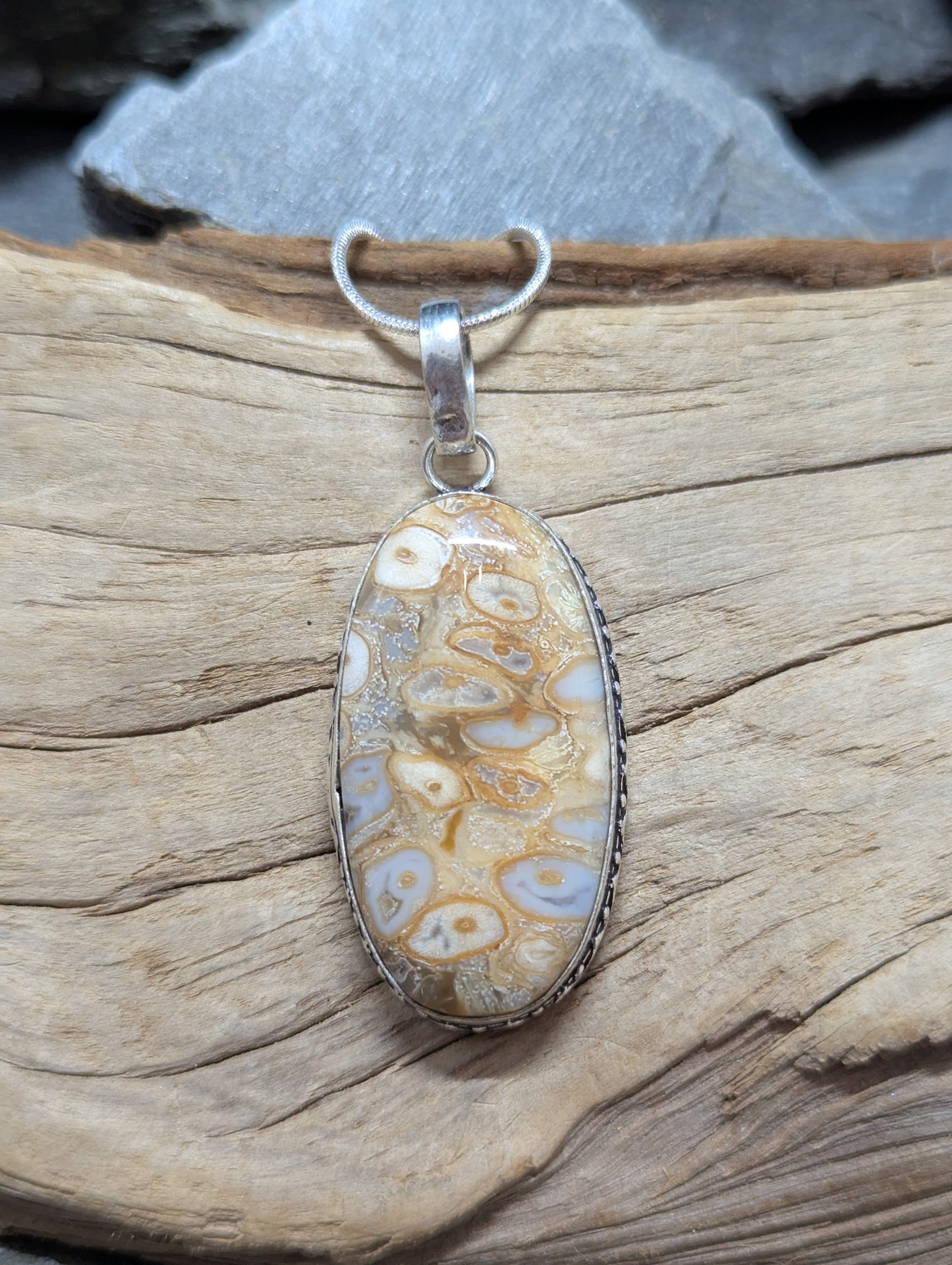 Rock Fossil